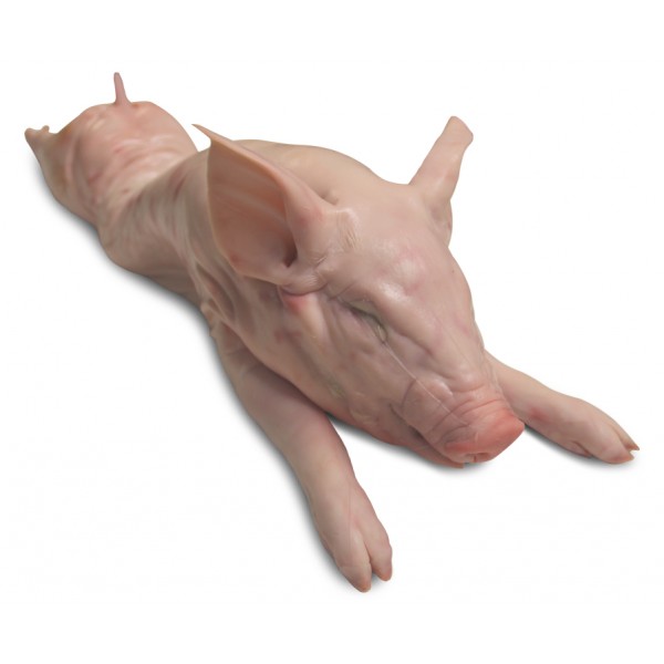 Frozen Suckling Pig (Per Unit)